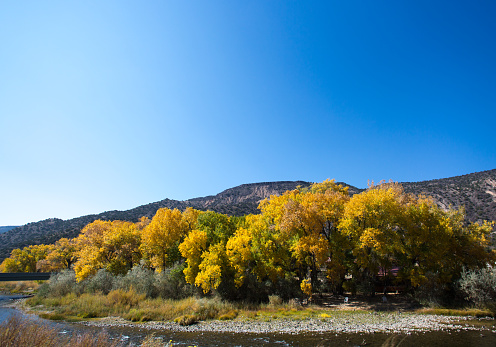 Panorama of sunlit Rio Grande River and cottonwoods in autumn, during the 2020 drought. Shot between Taos and Santa Fe. Copy space in the blue sky.\n\n\n\nCopy space available.