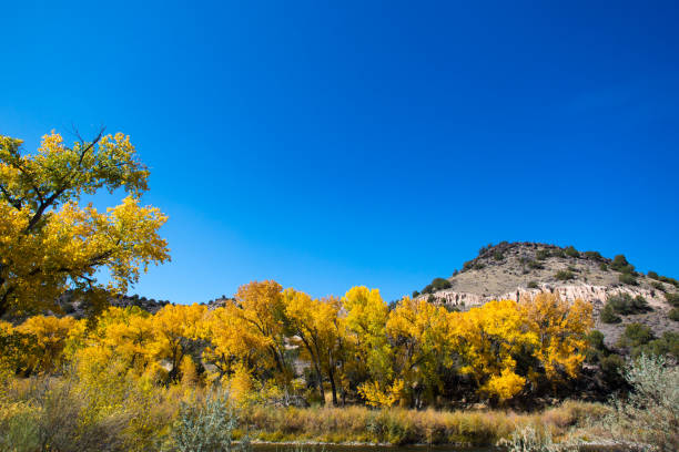 солнечная долина реки рио-гранде с коттонвудс - rio grande new mexico river valley стоковые фото и изображения