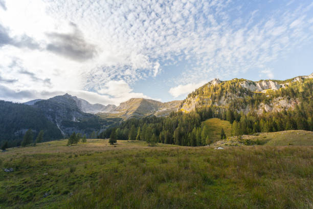Wonderful late summer and autumn mood around Wurzelalm at Spital am Pyhrn in Upper Austria. Wonderful late summer and autumn mood around Wurzelalm at Spital am Pyhrn in Upper Austria. spital am pyhrn stock pictures, royalty-free photos & images