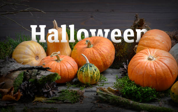 istock Halloween Typography With Pumpkins Background 1280796647