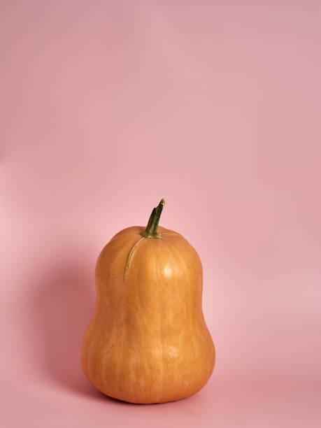 istock orange pumpkin with a green tail on a pink background 1280796669