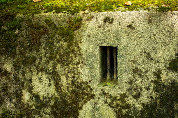istock An old concrete wall overgrown with forest moss and a small window with a lattice. 1280796718