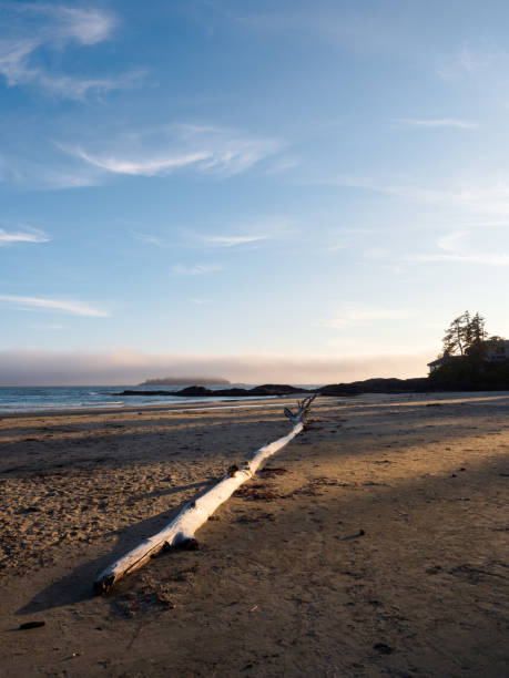 istock Tofino - British Columbia 1280797831