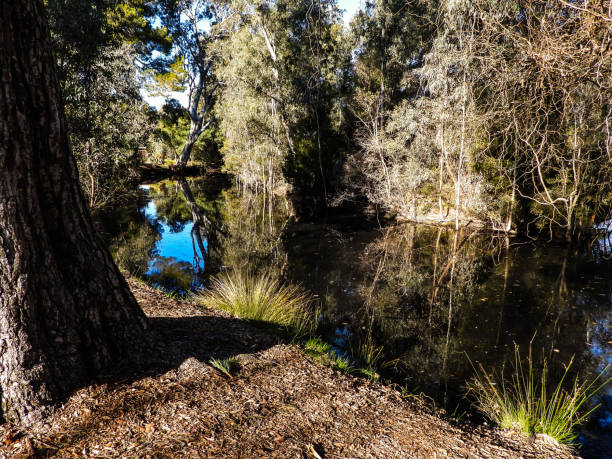 istock Bendigo, Victoria, Australia 1280799801