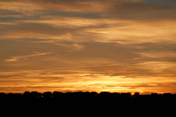 El Pardo. Madrid. Spain
