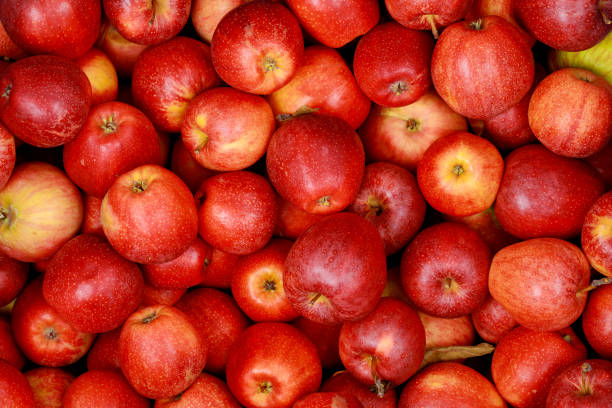 istock Delicious red apples. Healthy diet food concept. 1280806355