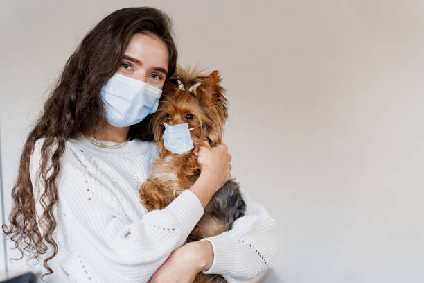 istock Young attractive woman with dog yorkshire terrier, both wearing protective mask on a white background. Close up photo. Quarantine. Preventative measures. Health care and pet care. People and pets 1280806410