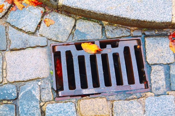 istock Street drain grate in the autumn 1280809769