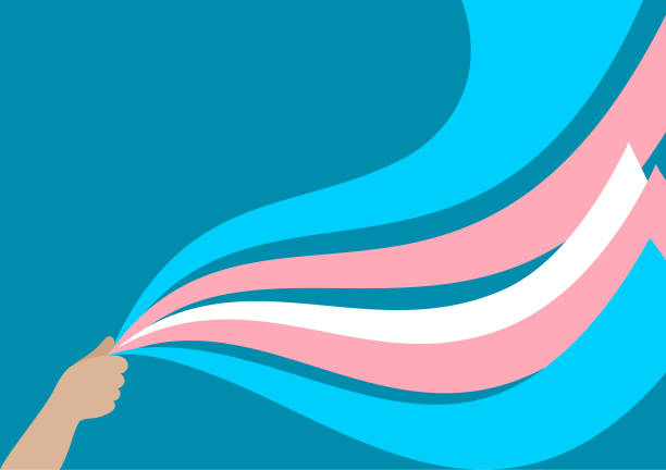 Transgender flag from ribbons Illustration of a hand holding ribbons in the color of the transgender flag. transgender person stock illustrations