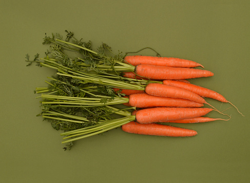 Freshly picked carrots on green background