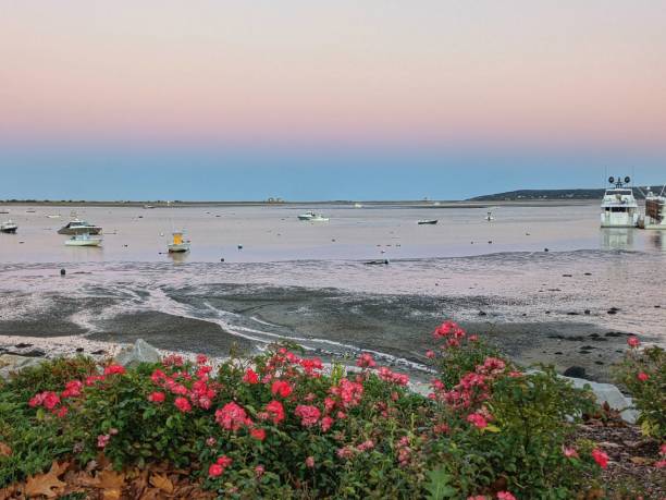 port de plymouth (massachusetts) - massachusetts landscape new england spring photos et images de collection