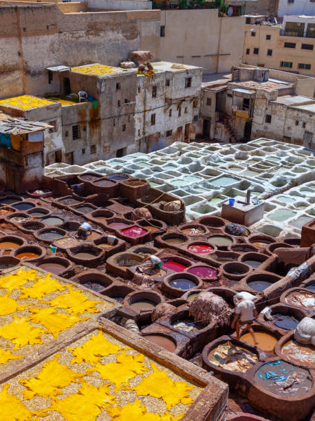 istock Fez  Leather Tannery Morocco Africa 1280812799