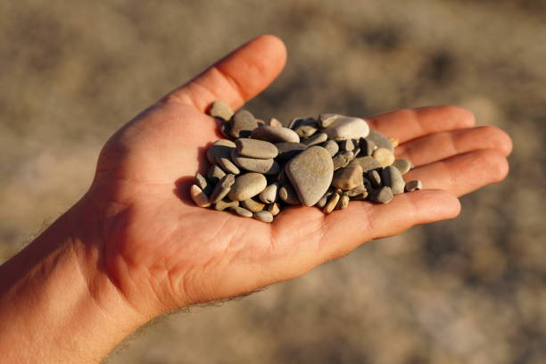 istock Handful of pebbles, man`s hand holding pebbles, close-up. 1280814151