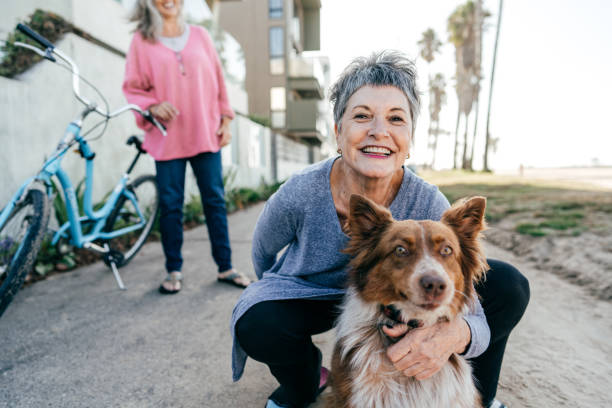 Active senior women enjoying the day Senior woman outdoor having fun mature adult walking dog stock pictures, royalty-free photos & images