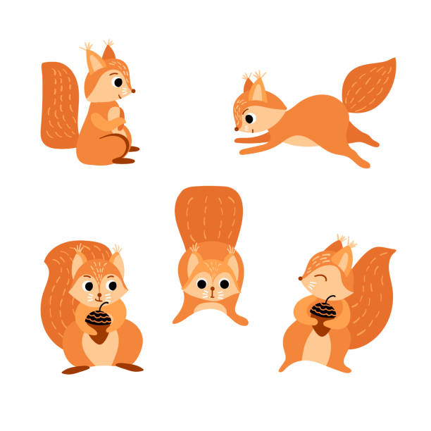 Cute Cartoon Squirrels Set Stock Illustration - Download Image Now - Running,  Squirrel, Acorn - iStock