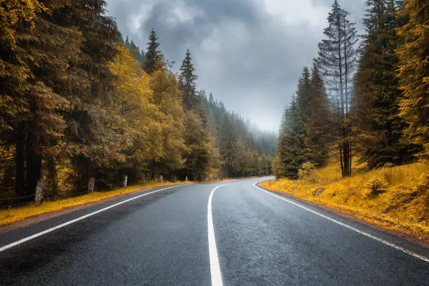 Photo of Road in autumn foggy forest in rainy day. Beautiful mountain roadway, trees with orange foliage in fog and overcast sky. Landscape with empty asphalt road through woodland in fall. Travel. Road trip