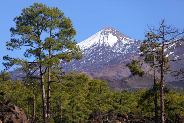 istock Tenerife - Teide volcano landscape 1280820516