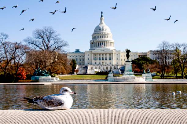 istock Washington DC in the autumn 1280830328