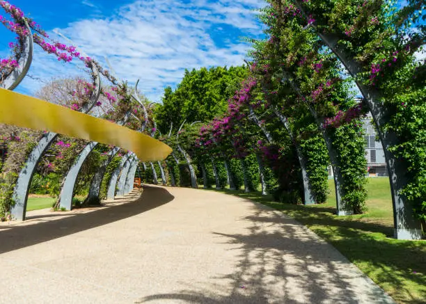 Photo of a pedestrian walkway under an arbor of bougainvillea flowers, Southbank, Brisbane, Queensland