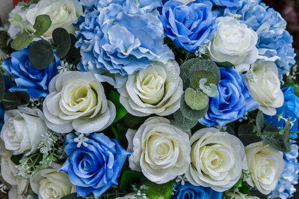 istock Rose - Flower, Drop, Plant, Blue, Flower 1280833457
