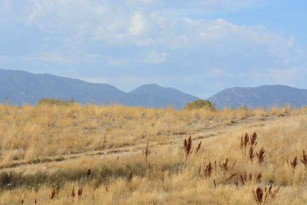 Colorado autumn landscape with dirt trail through dry winter grasses with Rocky Mountains in background