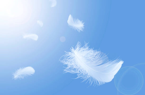 istock Soft light fluffy a feathers floating in the sky. Feather abstract freedom concept background. 1280838783