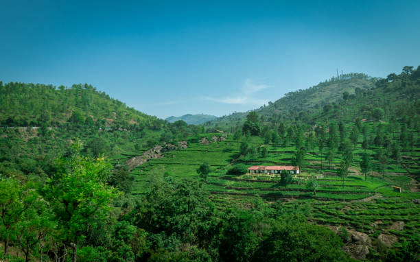 istock Isolated homes with beautiful landscape in tea garden 1280847331