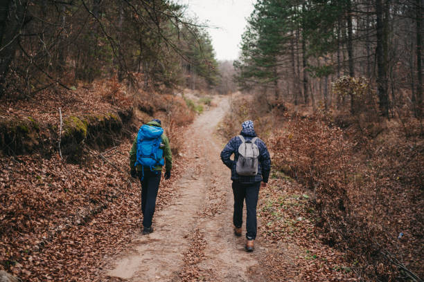 istock Hiking in the woods 1280850021