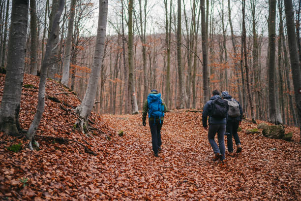 istock Brothers hiking in autumn forest 1280850043