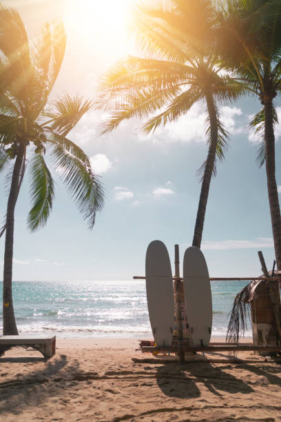 istock Surfboards beside coconut trees at summer beach with sun light. 1280853764