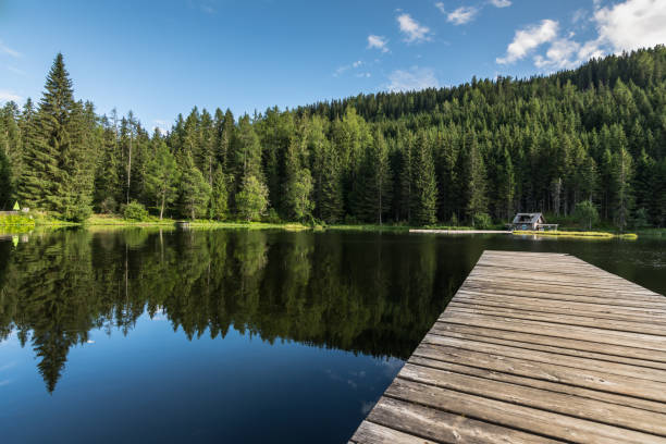 istock reflecting pond with a wooden jetty in the forest 1280854711