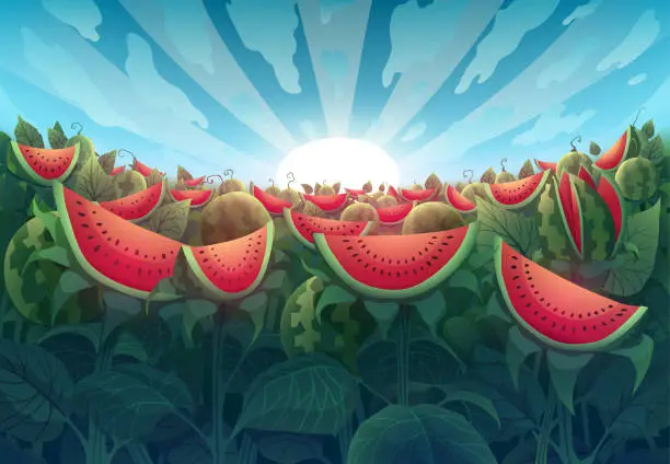 Vector illustration of Magical nature landscape with red sweet watermelon field, fruit garden, ripe large berries, bright shining sun, blue sky, fantasy summer illustration with green cane plants