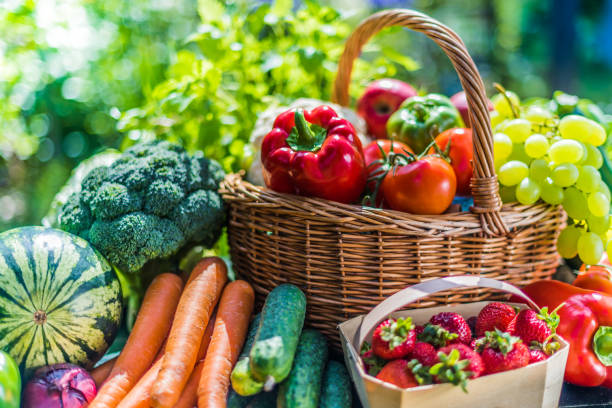 varietà di verdure e frutta biologiche fresche in giardino - frutta foto e immagini stock