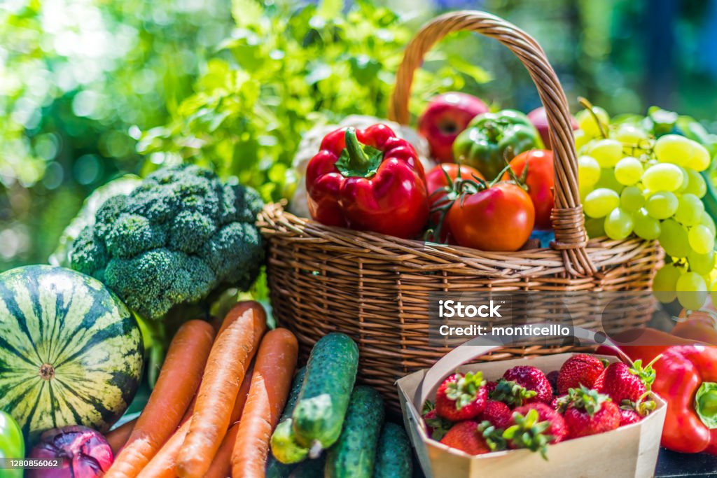 Variety of fresh organic vegetables and fruits in the garden Variety of fresh organic vegetables and fruits in the garden. Balanced diet Vegetable Stock Photo