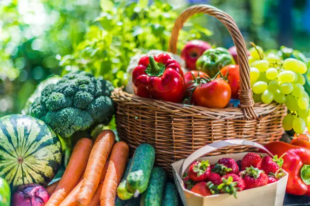 Variety of fresh organic vegetables and fruits in the garden. Balanced diet