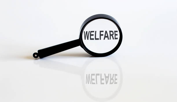 istock Magnifier with text WELFARE on the white background 1280856192