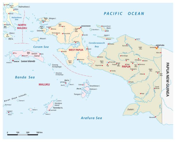 ilustrações, clipart, desenhos animados e ícones de mapa vetorial das províncias indonésias de papua e papua ocidental - arafura sea