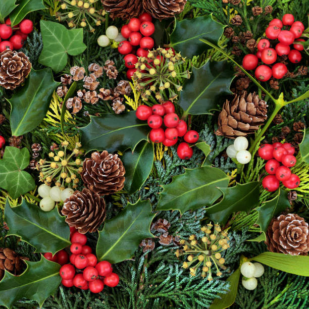 istock Natural Winter Greenery Holly and Flora Background 1280861802