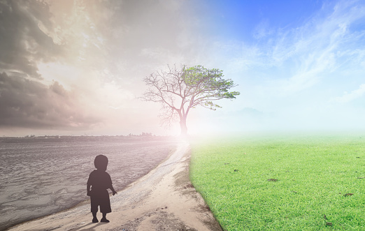 Alive concept: Child standing against half of tree between climate worsened and good atmosphere background