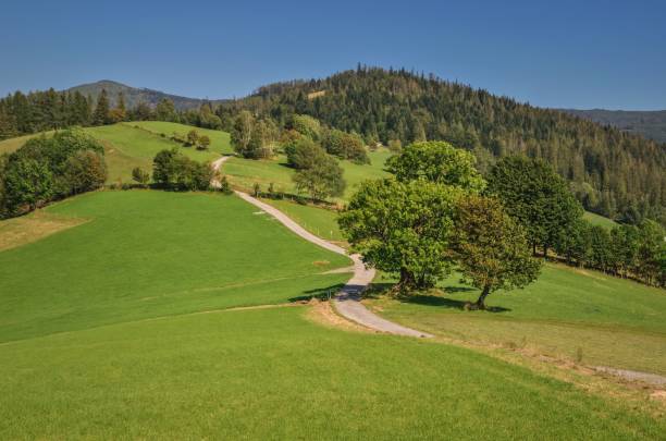 Beautiful rural green landscape. Green trees and the road in the hills. beskid mountains photos stock pictures, royalty-free photos & images