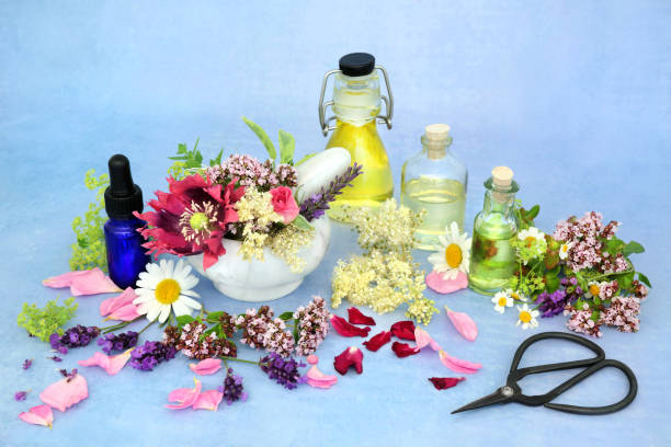 istock Naturopathic Herbal Medicine for Aromatherapy 1280868065