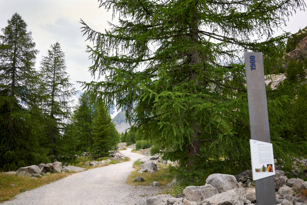 View of Morteratsch Glacier trail Morteratsch, Switzerland - July 22, 2020 : View of Morteratsch Glacier trail 1908 stock pictures, royalty-free photos & images