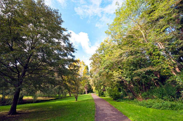 istock Chine walk, Bournemouth Gardens view in Autumn 1280868850