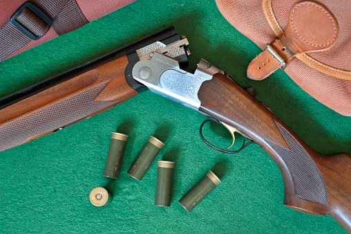 Double barreled shotgun still-life arrangement on green beize background with twelve bore cartridges, wooden carved stock, barrel, leather cartridge case, container and ornate broken gun illustrating the country outdoors sport of either clay shooting or rough shooting