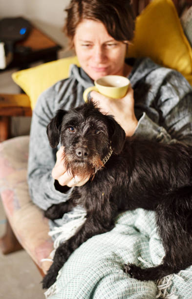 istock Cute little dog and his owner lying on a sofa 1280869170
