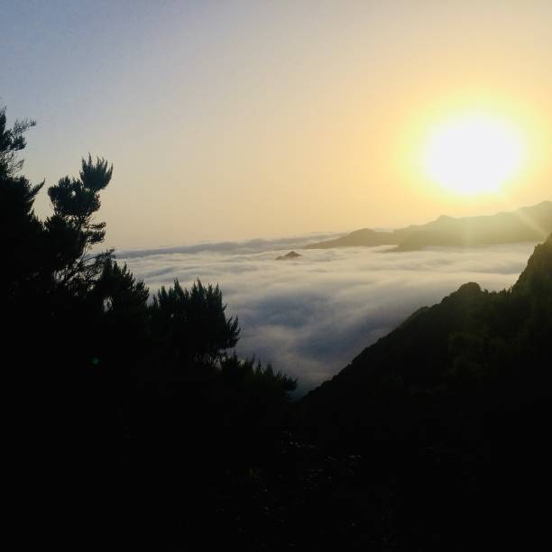 istock sea of clouds 1280870179