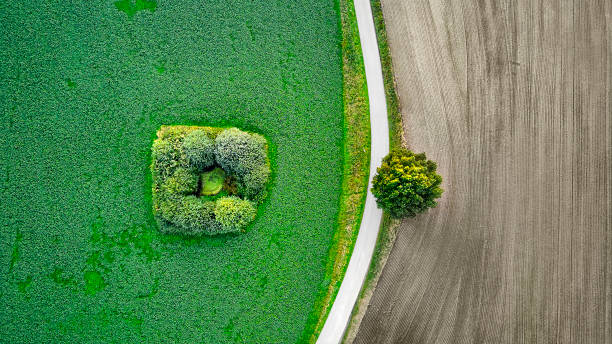 istock Road crossing agricultural landscape 1280871196