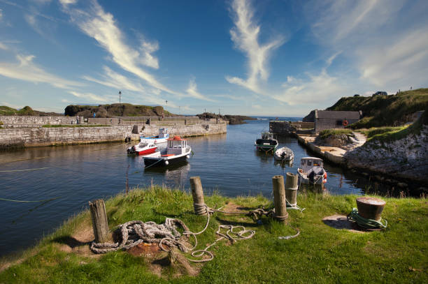 Picturesque harbour with fishing boats