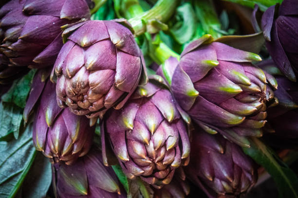 현지 이탈리아 시장에서 시장 스탠드에서 판매하는 아티초크 - purple artichoke 뉴스 사진 이미지
