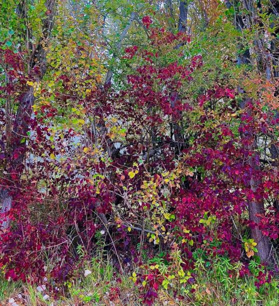 istock Like an autumn painting 1280874247